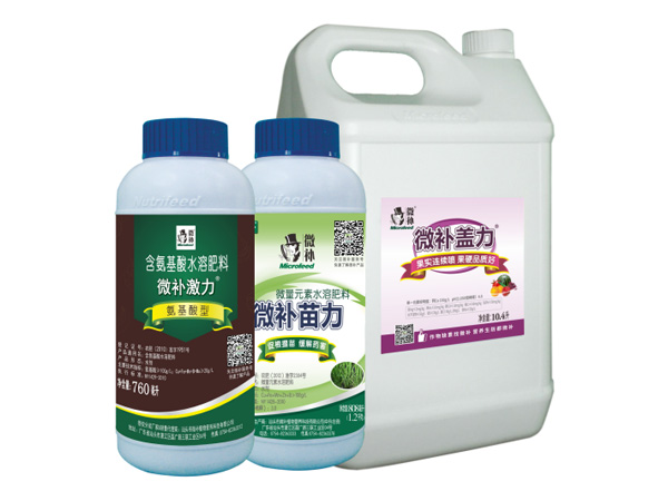 讓作物安全過冬的實用小妙招，速看
